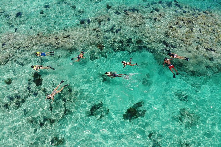 Key West 2 Reef Snorkel Tour & Sunset Cruise with Beer & Wine - Photo 1 of 24